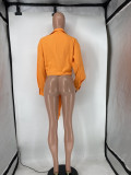 Solid Sexy Long Sleeve Deep V Neck Blouse Top SMD-82085