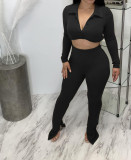 Solid Long Sleeve Crop Top Split Pants 2 Piece Sets BGN-217