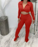 Solid Long Sleeve Crop Top Split Pants 2 Piece Sets BGN-217