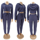 Plus Size Plush Hooded Long Sleeve 2 Piece Pants Set HNIF-061