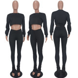 Solid Long Sleeve Crop Top Pile Pants 2 Piece Sets YD-8544