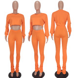 Solid Long Sleeve Crop Top Pile Pants 2 Piece Sets YD-8544