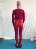 Sexy Printed Long Sleeve Two Piece Sets OMY-80077