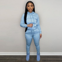Solid Plush Hoodie Top And Pants 2 Piece Suits CH-8197