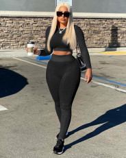Solid Long Sleeve Slim Two Piece Pants Set ZSD-0444