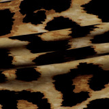 Leopard Print Short Sleeve Sashes Jumpsuit NY-8893