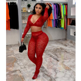 Sexy Lace Crop Top And Pants 2 Piece Sets GCNF-0092