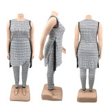 Plus Size Printed Split Sleeveless Top And Pants Set PHF-13268