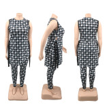 Plus Size Printed Split Sleeveless Top And Pants Set PHF-13268