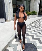 Sexy Sleeveless Crop Top And Mesh Pants Two Piece Sets AL-273