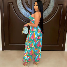 Print Sexy Halterneck Crop Top And Pants  Two Piece Sets GDYF-6667