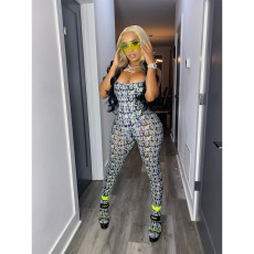 Fashion Mesh Print Bodysuit And Pants Two Piece Set GDYF-6653