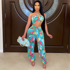 Print Sexy Halterneck Crop Top And Pants  Two Piece Sets GDYF-6667