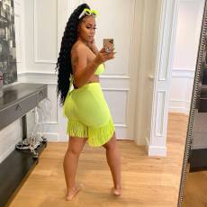 Sexy Halter Bra Top+Tassel Shorts 2 Piece Sets FNN-8660