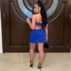 Solid Halter Crop Top Mini Skirt 2 Piece Sets YIBF-60137