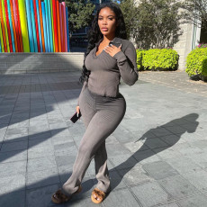 Casual Solid Color Long Sleeve And Pants Two Piece Set WMEF-20783