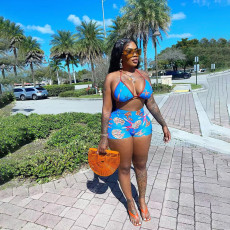 Printed Bra Shorts Beach Swimsuit Two Piece Set QSF-51060