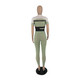 Fashion Print Mesh Short Sleeve And Pants Two Piece Sets IV-8297