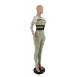 Fashion Print Mesh Short Sleeve And Pants Two Piece Sets IV-8297