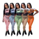 Fashion Print Mesh Short Sleeve And Pants Two Piece Sets IV-8297