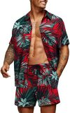 Short Loose Hawaiian Print Casual Shirt Set FLZH-ZT165-ZK81