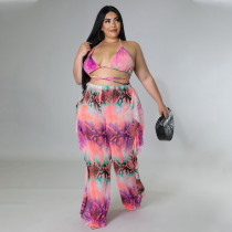 Plus Size Sexy Ruffled Halter Beachwear 3 Piece Sets HNIF-DHN016