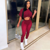 Sexy T Shirt+Mesh Pants Two Piece Sets ME-8062