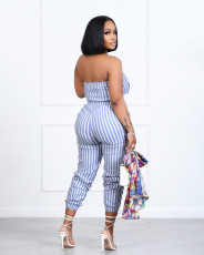 Sexy Striped Strapless Jumpsuit ZSD-0464