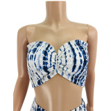 Sexy Tube Top Split Maxi Skirt 2 Piece Sets JZHF-8111
