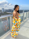 Sexy Printed Swimsuit Two Piece Sets BGN-245