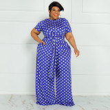 Plus Size Polka Dot Print Two Piece Pants Sets OSIF-22293