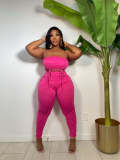 Plus Size Solid Ruched Two Piece Pants Sets ZDF-31211D