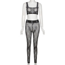 Sexy Printed Mesh See Through Tank Top And Pants 2 Piece Sets XEF-10381