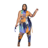 Plus Size Printed Sleeveless Split Two Piece Pants Sets PHF-13278