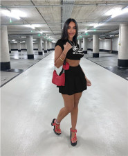 Pre Order: About 7 work days shipping Sexy Printed Crop Top Pleated Mini Skirt 2 Piece Sets YUEM-Y705