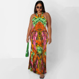 Plus Size Printed Sleeveless Maxi Dress OSIF-22410
