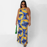 Plus Size Printed Sleeveless Maxi Dress OSIF-22410