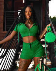 Solid Hooded Zipper Two Piece Shorts Sets FNN-8685