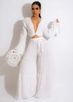 Solid V Neck Long Sleeve Wide Leg Pants 2 Piece Sets MEM-88450