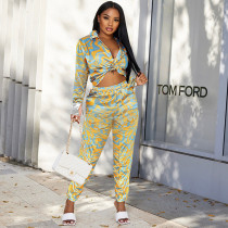 Casual Printed Shirt And Pants Two Piece Sets WSYF-5938