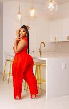 Plus Size Sleeveless Tassel Pants 2 Piece Sets ZDF-31230