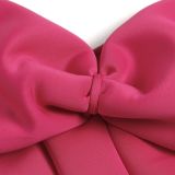 Sexy Bow-Knot Strapless Tube Top FSXF-F356