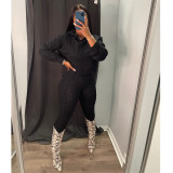 Solid Color Knit Sweater Two Piece Set GCNF-0193