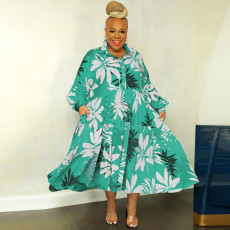 Plus Size Casual Long Sleeve Big Swing Print Dress OSIF-22529