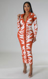 Fashion Print Long Sleeve Slim Long Dress XHXF-329
