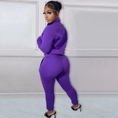 Solid Plush Zipper Pullover And Sport Pant Casual Two Piece Set  NYF-8126