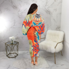 Fashion Print Bat Sleeve Maxi Dress YF-10263