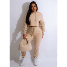 Plus Size Solid Color Hooded Sport 2 Piece Pants Set GCNF-0206