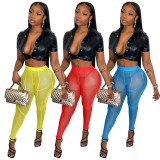 Sexy Mesh Solid Color Pant YD-1136