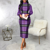 Print Long Sleeve Slim Midi Dress SMR-11909